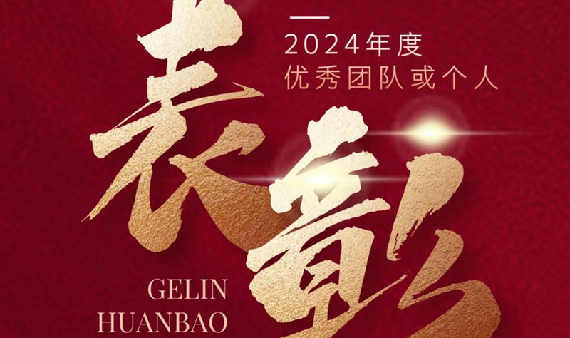 閣林先鋒 榜樣力量 | 2024年度優(yōu)秀團隊或個人表彰名單