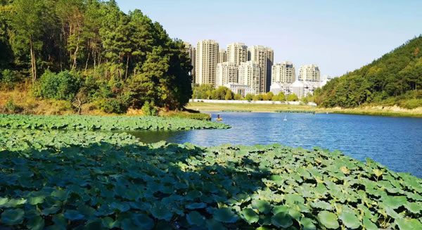 樅陽縣城區水環境綜合治理PPP項目