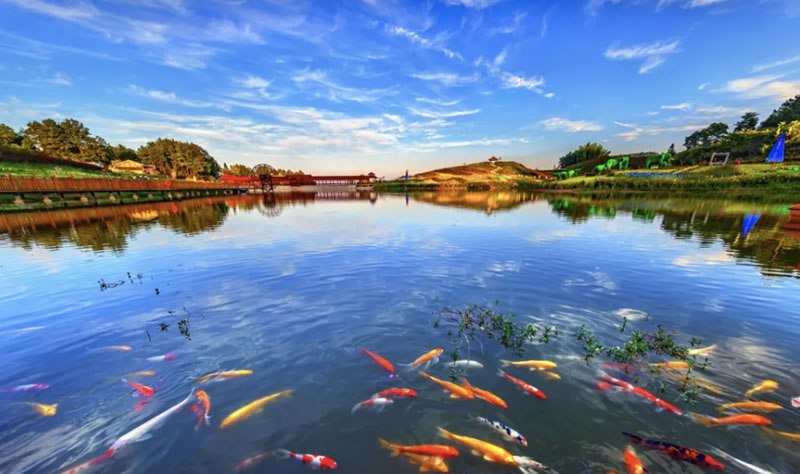 轉載 | 全市農(nóng)村黑臭水體清零區(qū)縣創(chuàng)建暨農(nóng)村生活污水治理工作現(xiàn)場推進會召開